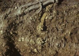 Саркофаг с останками женщины рода саков обнаружили казахстанские археологи