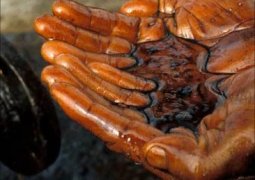 Из бесхозной скважины 30 лет вытекает нефть в Атырауской области