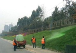 Современную методику выращивания газона астанчане приняли за зеленую краску для земли