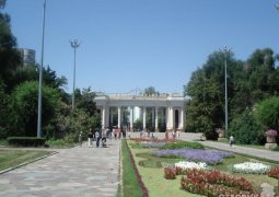 Организация по обслуживанию парков и скверов вскоре появится в Алматы