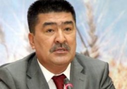 Пополнить ресурсы реки Урал за счет стока Волги предлагают в Казахстане