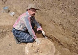 В США найдены останки нового вида доисторических животных