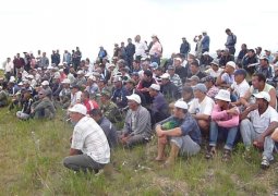 В Жамбылской области 1,5 тыс га земли могут передать кыргызам