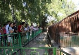 Бизнесмены возродят зоопарк Алматы