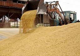 В РК определена сумма на закуп зерна в госресурсы из урожая 2013 года