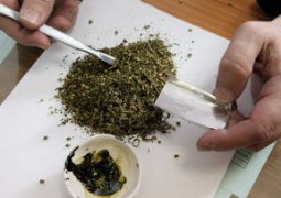 В Жамбылской области у жителя Алматы изъято более 1 тонны марихуаны