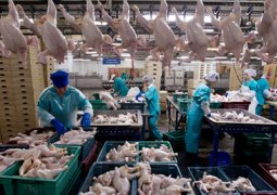 Порядка 52 тонн недоброкачественного мяса птицы уничтожено в Казахстане