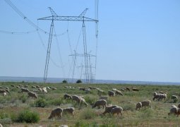 242 тыс. га неиспользуемых земель вовлечены в сельскохозяйственный оборот в Павлодарской области