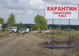 В кыргызском селе недалеко от Казахстана объявлен карантин из-за сибирской язвы