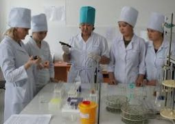 В Казахстане нехватка врачей составляет около 6 тыс. специалистов