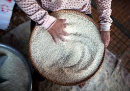 Nestle будет использовать в производстве кызылординский рис