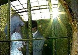 Свыше 1,2 тыс. свадеб сыграли в тюрьмах Казахстана