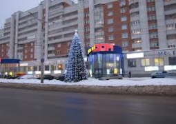 Житель Темиртау «заминировал» новогоднюю елку