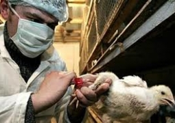 О росте заболеваемости птичьим гриппом в Юго-Восточной Азии предупреждают казахстанских туристов