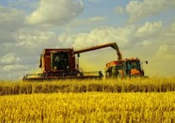 В Казахстане ужесточат ответственность за нерациональное использование сельхозугодий