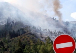 Сухостой горит в предгорьях близ Алматы