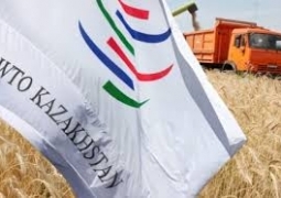 ВТО «убьет» сельское хозяйство Казахстана, - мажилисмен