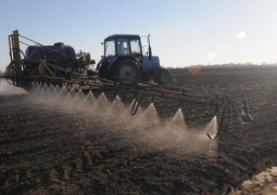 В Кызылординской области начался сев риса