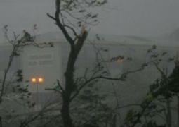 В Шымкенте из-за штормового ветра объявлен режим ЧС