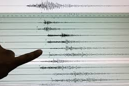 Землетрясение магнитудой 4,6 произошло в 185 километрах от Алматы