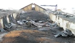 Почти 500 тонн зерна сгорело при пожаре в Акмолинской области