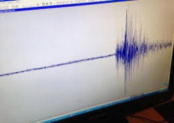 Землетрясение магнитудой 4,8 произошло в центре Казахстана 