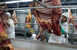 10 тыс. тонн говядины экспортирует Казахстан в этом году, - Минсельхоз