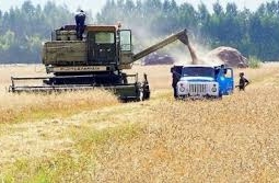 Нурсултан Назарбаев раскритиковал фермеров за нерыночный подход к делу