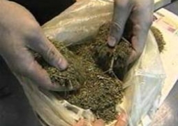 Свыше тонны марихуаны изъяли у жителя Алматы