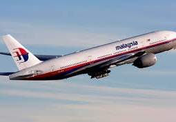 На Украине рухнул малайзийский Boeing 777 (ВИДЕО)