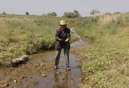Жители Кызылагаша просят построить водохранилище