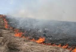 Свыше 240 пожарных продолжают тушить пожар в горах близ Алматы