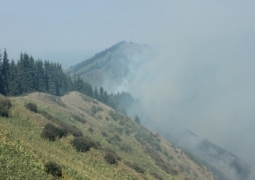 Пожар в горах близ Алматы локализован