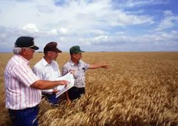 В Казахстане изменится механизм субсидирования сельхозтоваропроизводителей