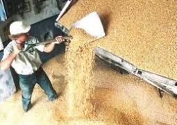 Свыше 7 млрд. тенге выделено на закуп зерна в госрезерв, - КазАгро