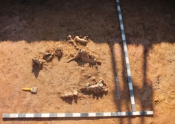Оружие IV-III тыс. до н.э. обнаружено археологами в Северном Казахстане