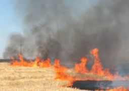 ЧС объявлена в Западном Казахстане в связи с лесными и степными пожарами