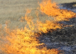 100 га составила площадь степного пожара в Акмолинской области