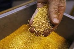 Более чем на 10% увеличил Казахстан производство золота в январе-августе