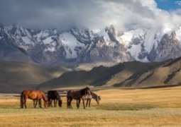 «Казахфильм» по примеру National Geographic снимет докфильмы о природе Казахстана