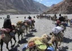 Караван верблюдов с товарами отправился из китайского Шэньси в Тараз