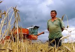 В Казахстане изменят механизмы субсидирования аграриев