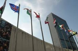 Делегации Египта и Турции поссорились на сессии Генеральной Ассамблеи ООН