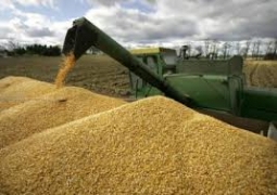 Продкорпорация закупит в госресурсы 280 тыс. тонн зерна в 2014 году