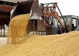 20 тыс. тонн пшеницы поставит Казахстан в Китай