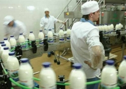 Еще семь кыргызстанских компаний будут экспортировать молоко в Казахстан