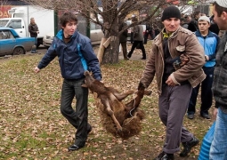 В Петербурге забой жертвенных баранов назвали зоофашизмом