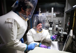 Минздрав США подтвердил первый случай заражения вирусом Эбола на территории страны