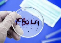 Вирус Эбола начал мутировать