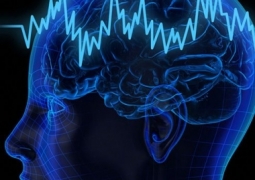 Ученые намерены внедрить GPS в мозг человека